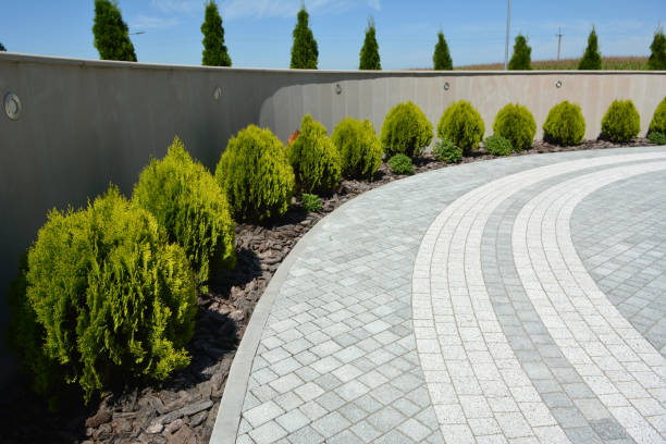 Best Driveway Paving Near Me  in Benson, AZ